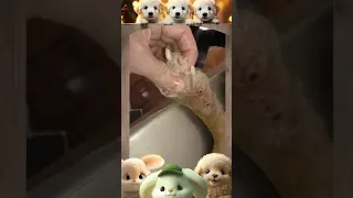 Mangoworm Removal Compilation Rescue Dog Mangoworms Vet Mangoworm Treatment