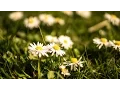 Funeral Services in Beloit WI Call 844 311-3189