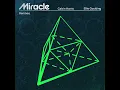 Miracle (Ben Nicky Extended Remix)