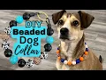 Beaded Dog Collar Tutorial Leash Compatible DIY