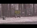 Geauga County approves 250K in funding for animal shelter as disputes continue over its future