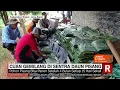 Download Lagu Cuan Gemilang Di Sentra Daun Pisang | REDAKSI PAGI (24/02/23)