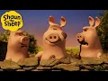 Three Big Pigs! 😲 | Shaun the Sheep Compilation | Shaun the Sheep \u0026 Friends
