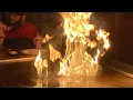 Kyoto Japanese restaurant Cousin birt ay dinner