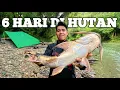 Download Lagu Camping Hujan Deras 6 Hari di hutan Kalimantan Pertualangan Fishing Camp Bermalam masak dan makan