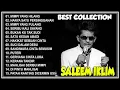 Lagu Best of Saleem iklim , lagu Malaysia