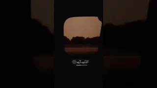 القارئ محمد ايوب سورة طه 