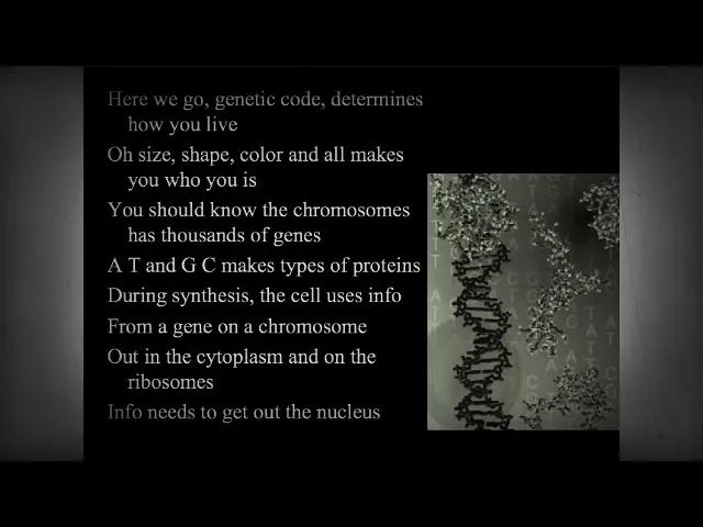 DNA SONG(GRENADE PARODY) BY BRUNO MARS DNA SONG(GRENADE PARODY) BY BRUNO MARS