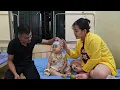 Download Lagu Building the Walls of Our Dream Home | A Father’s Love and a Meal for Lina and Mom