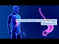Pain in the Upper Left Abdomen Common Causes and When to Seek Medical Care BuoyHealth com