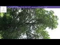 00 N Wheeler St Jasper TX 75951 - MLS