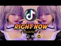 Download Lagu DJ RIGHT NOW NA NA NA - ไทยบีทรีมิกซ์ 🇹🇭 - DJ DENZKIE REMIX - TIKTOK VIRAL
