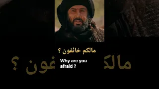                                                                                                دندنها