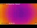 Fall Migration 2022 Thermal Camera - 2022 2 56 AM
