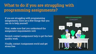 Programming Assignment Help