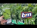 I Found Some AMAZING Jungle Plants in B M