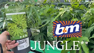 I Found Some AMAZING Jungle Plants in B M