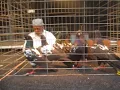 Raul Uptop Delgado Sr. judging Black Danishes Rhinebeck Show