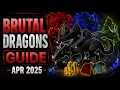 Brutal Dragon Guide OSRS Black Red Blue Green Apr 2025