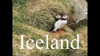Touring Iceland