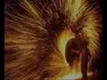 Cosmic Gate - FireWire