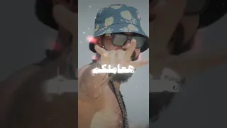 كلها نفسها تبقى انا وكلها مش شغلانى  كلها نفسها تبقى انا وكلها مش شغلانى