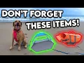 Dog Beach Day Essentials What to Pack for a Fun Day at the Beach With Your Pup