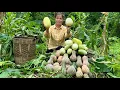 Download Lagu Harvesting Pumpkins And Melons Goes To Market Sell - Farm Life