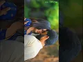 Download Lagu Old Khortha status video//❣️Khortha love status//❣️💫