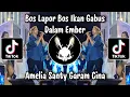 Download Lagu AMELIA SANTY BOS LAPOR BOS - DJ GARAM CINA DIBAKAR DALAM KACA | AMELIA SANTY BELI BODREXIN