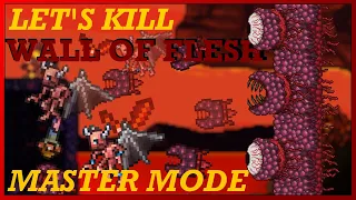 How to EASILY Beat MASTER MODE Wall of Flesh in Terraria 1 4