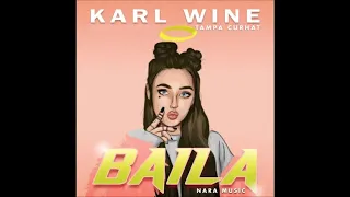 tampa curhat beat u0026 karl wine baila instrumental tik tok