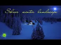 Download Lagu Relaxing music treats diseases of the heart and blood vessels Gentle music, calms the nervous system