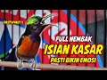 Lagu KOLIBRI NINJA GACOR FULL MATERI ISIAN ROLL TEMBAK MEWAH !! PANCINGAN KONIN BAHAN AGAR CEPAT EMOSI
