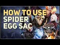 How to use Spider Egg Sac Baldur s Gate 3