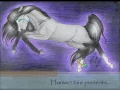 My Horse Drawings 4