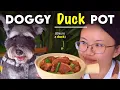 Download Lagu The (Traditional) Dog Meat Flavor Profile