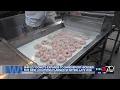 Shipley Donuts