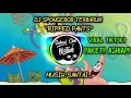 Download Lagu Dj Spongebob Terbaru \