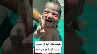 هيحصلك إيه لو بقيت إنسان يوم واحد معلومات اكسبلور Animals Facts Wildlife معلومات غريبة 