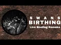 Download Lagu Swans - Birthing [LIVE BOOTLEG REMAKE ALBUM]