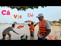 Download Lagu Cận Cảnh Cá Koi Vật Đẻ Trong Mưa Lũ Và Bắt Được Rất Nhiều Dế Cụ...