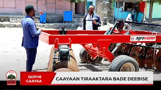 Qophii Caayaa Tiraaktarri Aanaa Gimbichuutti Bade Argame 