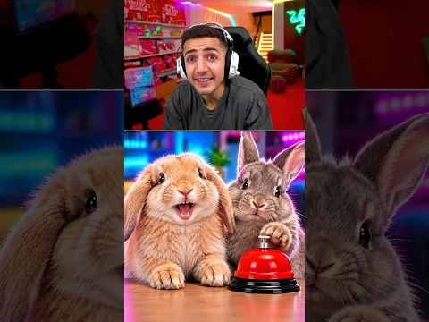 טופ רגעים מצחיקים של ארנבים !🐰😂