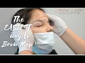 The Only Brow Mapping method I Use in my Microblading Studio - Full Version