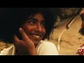 Você não ama ninguém 3 - Knust, Cesar Mc, Chris Mc, Xamã (Prod. Malak)