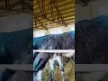 Download Lagu Funniest Donkey Ever Donkey Training the fun way 1631