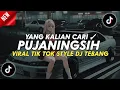 Download Lagu DJ PUJANINGSIH VIRAL TIK TOK STYLE DJ TEBANG
