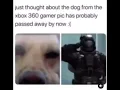 Rip Xbox dog profile picture