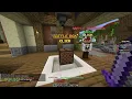 300 000 000 from the raffle hypixel skyblock